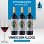 Imagem de Kit 3 Vinho Sem Álcool Despido Tinto Suave - 750mL Nacional