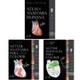 Imagem de Kit 3 vol netter: atlas de anatomia humana + fisiologia para colorir +  anatomia para colorir