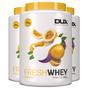 Imagem de Kit 3 Whey Protein Fresh Dux Maracujá 900g