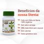 Imagem de Kit 3 x Adoçante Stevia Color Andina 100% Natural Em Pó Pote 40g Sem Sabor Residual Amargo