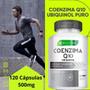 Imagem de Kit 3X Coenzima Q10 Ubiquinol 500Mg 360Cáp Ecomev