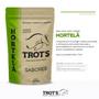 Imagem de Kit 3x Erva Mate Tereré Trot's Premium 500g Hortelã