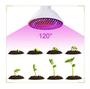 Imagem de Kit 3x Lâmpada Full Spectrum Grow Cultivo Indoor - 220v 110v