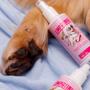 Imagem de Kit 3x Limpatinha - Higienizador Pet
