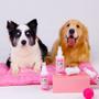 Imagem de Kit 3x Limpatinha - Higienizador Pet