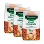 Imagem de Kit 3X: Macarrão Fusilli Integral Orgânico Organic 400G