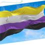 Imagem de Kit 4 bandeiras - gay / lésbica / trans / não binário