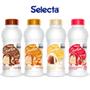 Imagem de Kit 4 Cobertura para Taça de Sorvete e Sobremesas Selecta 300gm