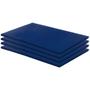 Imagem de Kit 4 Colchonetes Academia 100x60x3 D28 Azul RG Colchões