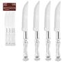 Imagem de Kit 4 Facas Serra Inox Cromado Talher Com Cabo Transparente