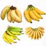 Imagem de Kit 4 Mudas De Banana Prata Terra Ouro E Maça Envio Imediato Pronta entrega