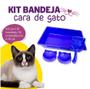 Imagem de Kit 4 Peças Caixa de Areia Bandeja + 1 Comedouro + 1 Bebedouro + 1 Pá Coletora para Gatos Felino Cor Azul
