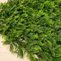 Imagem de Kit 4 Placas Samambaia Havaiana Para Jardim Vertical Artificial