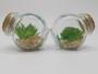 Imagem de Kit 4 Plantas Mini Suculentas Artificiais Potinho De Vidro