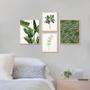 Imagem de Kit 4 Quadros Decorativos Verde Natureza Folhagem Plantas