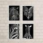 Imagem de Kit 4 Quadros Decorativos Zebras 24X18Cm - Com Vidro