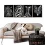 Imagem de Kit 4 Quadros Decorativos Zebras 24X18Cm - Com Vidro