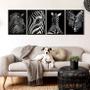 Imagem de Kit 4 Quadros Decorativos Zebras 33x24cm - com vidro