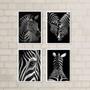 Imagem de Kit 4 Quadros Decorativos Zebras 45x34cm - com vidro