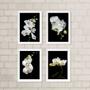 Imagem de Kit 4 Quadros Florais Fotografias Orquídeas 33x24cm - com vidro