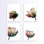 Imagem de Kit 4 Quadros Flores Neutras Suave 24X18Cm - Com Vidro