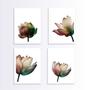 Imagem de Kit 4 Quadros Flores Neutras Suave 24x18cm - com vidro