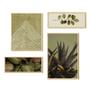 Imagem de Kit 4 Quadros Verde Folhagens Abstrato Boho Linhas Decorativo