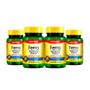 Imagem de Kit 4 Suplemento Mineral Ferro 100% Idr Com 60 Cap Maxinutri