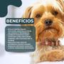 Imagem de Kit 4 unidades - chemital plus caixa com 4 comprimidos 