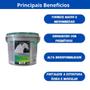 Imagem de Kit 4 unidades - equistro mega base 3 kg