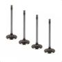 Imagem de Kit 4 Válvula de Escape NXR 125 CG Fan Cargo Metal Leve