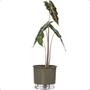 Imagem de Kit 4 Vaso Raiz Auto Irrigável 12x11cm N2 Autoirrigável Pequeno Plantas Flores