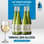 Imagem de Kit 4 Vinho Sem Álcool Natureo Branco Espanhol 0,0% - 750Ml