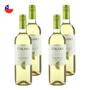 Imagem de Kit 4 Vinhos Chilano Sauvignon Blanc Branco Chile 750ml