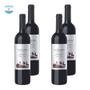 Imagem de Kit 4 Vinhos La Pradera Cabernet Sauvignon Tinto Argentina 750ml