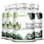 Imagem de Kit 4x Ginkgo Biloba 120 Capsulas 500 Mg - Bionutri