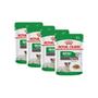 Imagem de KIT 4X Ração Úmida Royal Canin Mini Ageing 12+ Cães Idosos 85g