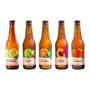 Imagem de Kit 5 Chás Brazô 350Ml: Sabores Variados