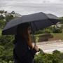 Imagem de Kit 5 guarda chuva sombrinha simples preto cabo j curvo atacado revenda