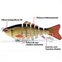 Kit 5 Isca Artificial Articulada Lambari Pesca Lorben GT6350 Imagem de Kit 5 Isca Artificial Articulada Lambari Pesca Lorben GT6350