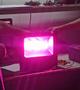 Imagem de Kit 5 Led Grow Light Full Spectrum Rosa 50w Cob P/ Planta