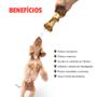Imagem de Kit 5 petisco para cachorro caes Osso mordedor Pet resistente Canela Bovina 100 natural