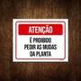 Imagem de Kit 5 Placas Sinalização Atenção Proibido Pedir Mudas Planta