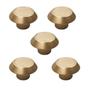 Imagem de Kit 5 Puxador Moveis Ponto Disk P Dourado Matte Fosco Zen