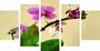 Imagem de Kit 5 Quadros Mosaico Sala Orquídeas Flores 17