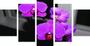 Imagem de Kit 5 Quadros Mosaico Sala Orquídeas Flores 26