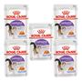 Imagem de Kit 5 Sachê Royal Canin Sterilised Gatos Castrados 85g Cada