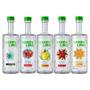 Imagem de Kit 5 vodkas russa greenline - sabores 700ml