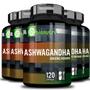 Imagem de Kit 5x Ashwaganda Ginseng Índiano Natural 120 Cápsulas Bionutri