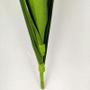 Imagem de Kit 6 Buquê Capim Verde Flor Planta Artificial Para vaso
